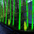 Solar Luminescence Simulation Bamboo